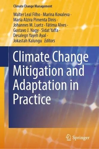 Climate Change Mitigation and Adaptation in Practice  by Walter Leal Filho at Abbey's Bookshop, 