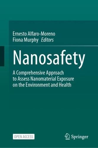 Nanotechnology in Environmental Remediation: Perspectives and Prospects