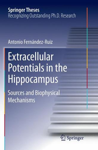 Extracellular Potentials in the Hippocampus: Sources and Biophysical Mechanisms  by Antonio Fernández Ruiz at Abbey's Bookshop, 