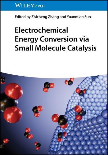 Electrochemical Energy Conversion via Small Molecule Catalysis  by Zhicheng Zhang (Tianjin University, China) at Abbey's Bookshop, 