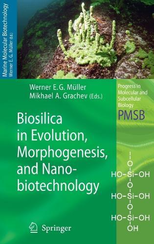 Biosilica in Evolution, Morphogenesis, and Nanobiotechnology: Case Study Lake Baikal  by Werner E. G. Müller at Abbey's Bookshop, 