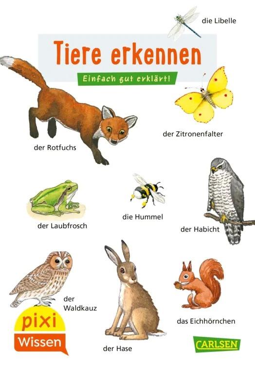 Tiere Erkennen (#30 Pixi Wissen)  by Hanna Sorensen at Abbey's Bookshop, 