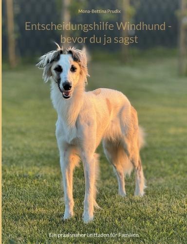 Echoes of Stone and Snow