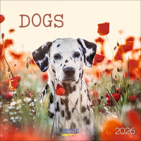 Dogs 2026 Calendar (30 x 30 cm)  by Vevoke at Abbey's Bookshop, 
