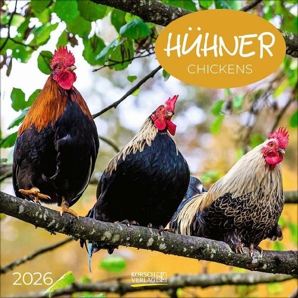 Chickens 2026 Calendar (30 x 30 cm)  by Vevoke at Abbey's Bookshop, 