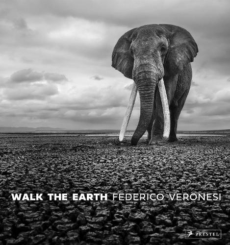Walk the Earth: Photographs of Africa's Last Great Elephants  by Federico Veronesi at Abbey's Bookshop, 