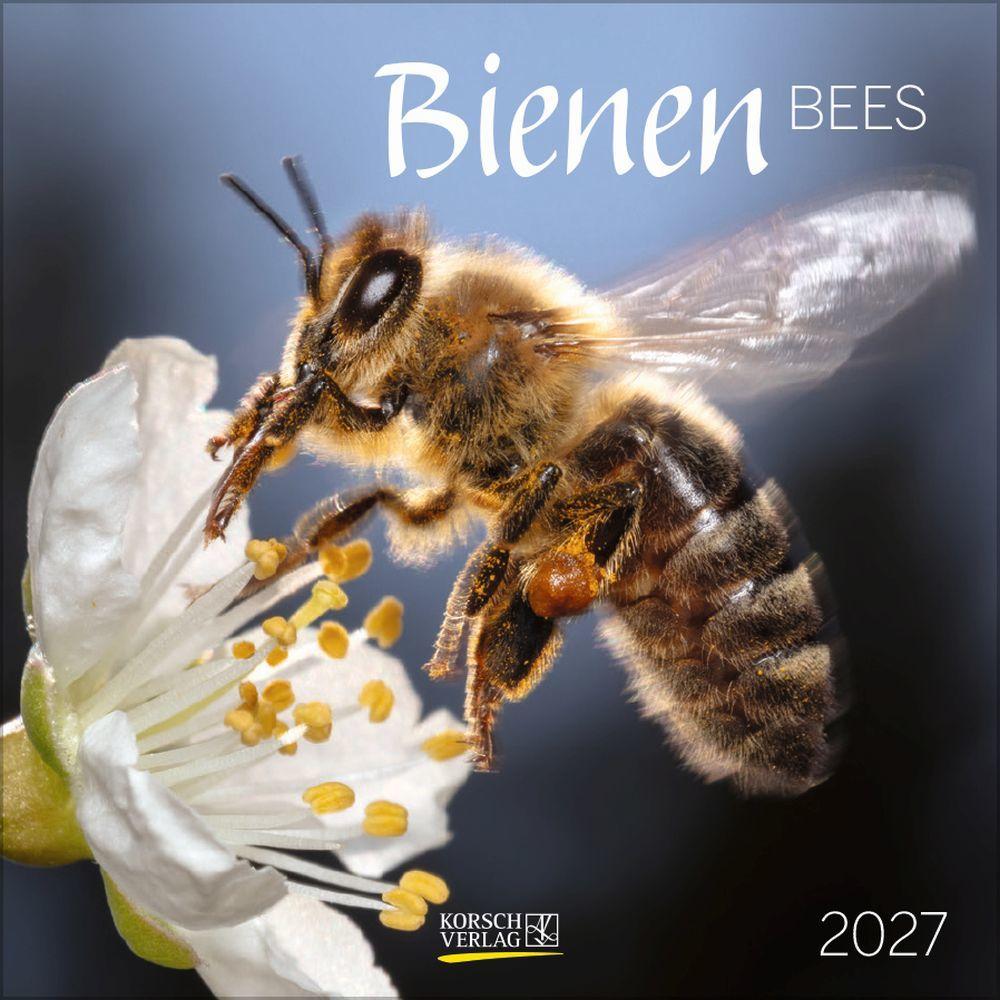 Bees 2027 Calendar (30 x 30 cm)