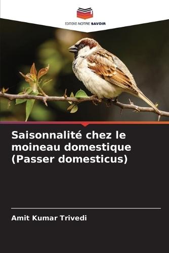 Saisonnalité chez le moineau domestique (Passer domesticus)  by Amit Kumar Trivedi at Abbey's Bookshop, 