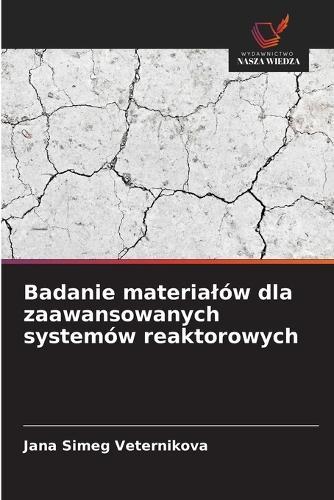 Estudo de materiais para sistemas de reatores avançados