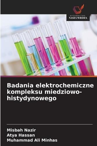 Interfaces semicondutoras/ eletrolíticas para redução de CO2