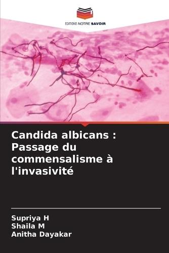 Previsão Da Diabetes Utilizando Uma Abordagem de Aprendizagem Automática