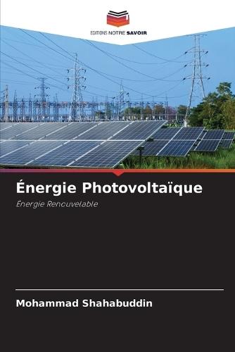 Elettrodi ibridi per l'accumulo di energia di prossima generazione