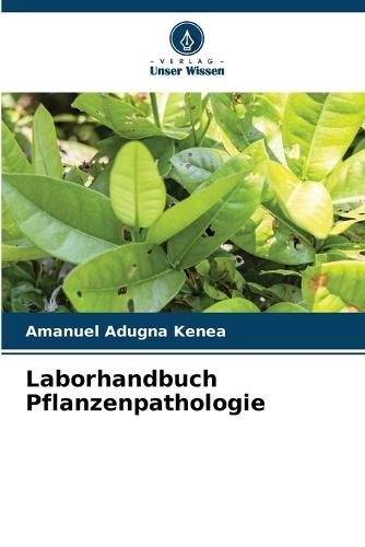 Impact of COVID-19 on the diagnosis of Helicobacter pylori