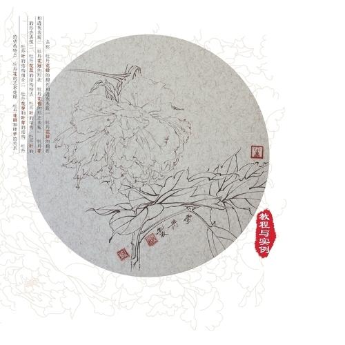 Course and Examples of Painting Techniques for Peony with Gongbi/工笔牡丹写生技法教程与实例