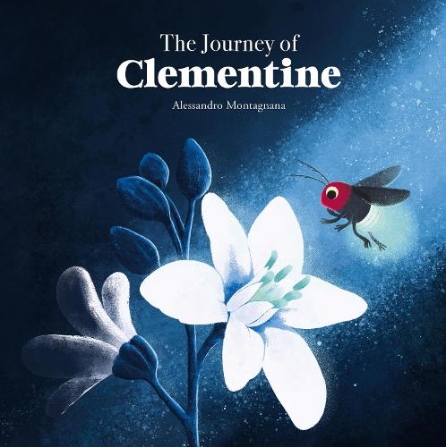 The Journey of Clementine  by Alessandro Montagnana at Abbey's Bookshop, 