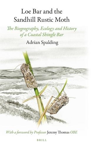 Loe Bar and the Sandhill Rustic Moth: The Biogeography, Ecology and History of a Coastal Shingle Bar