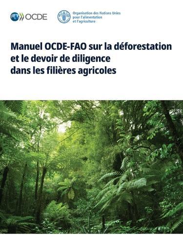 L'Investisseur Éclairé - Le Protocole CKZ pour auditer, sécuriser et multiplier vos actifs numériques
