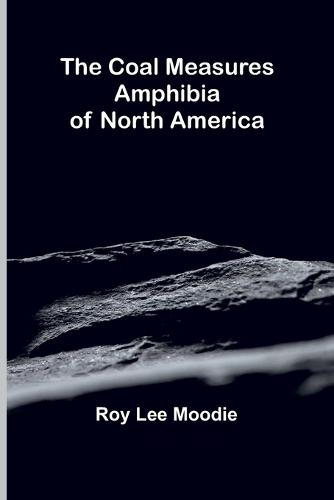 The Annals of Willenhall (Edition1)  by Roy Lee Moodie at Abbey's Bookshop, 