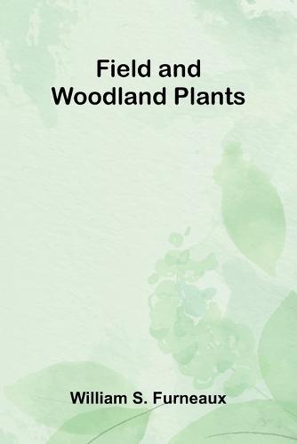 The Formation of Christendom (Volume II) (Edition1)