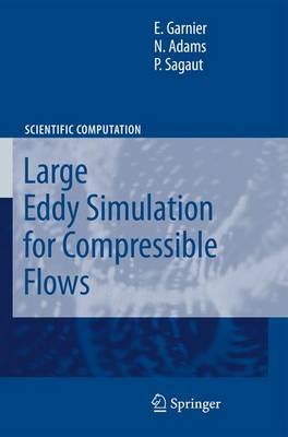 Large Eddy Simulation for Compressible Flows  by Eric Garnier at Abbey's Bookshop, 