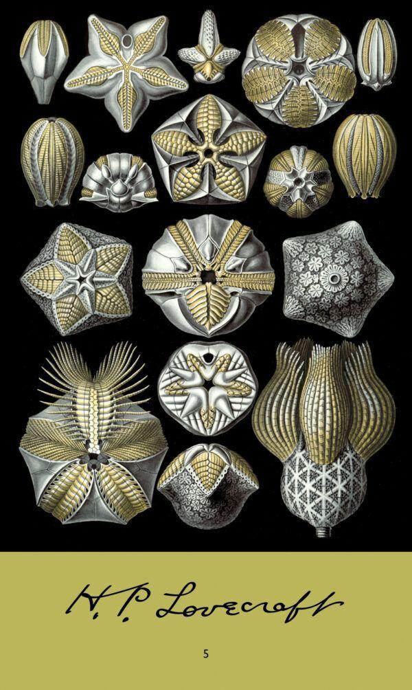 Kialia Tou Vasili Tsouikof (Greek)