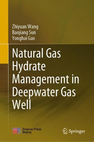 Natural Gas Hydrate Management in Deepwater Gas Well  by Zhiyuan Wang at Abbey's Bookshop, 