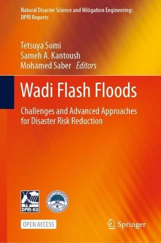 Wadi Flash Floods: Challenges and Advanced Approaches for Disaster Risk Reduction  by Tetsuya Sumi at Abbey's Bookshop, 