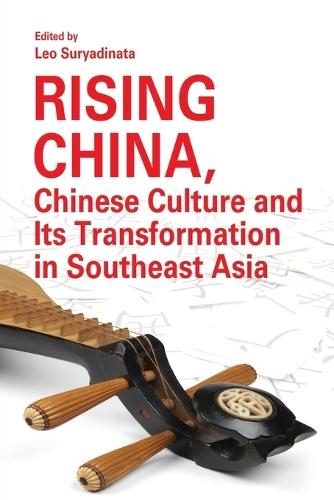 The Connector: Living with Experimental Neuroprosthetics