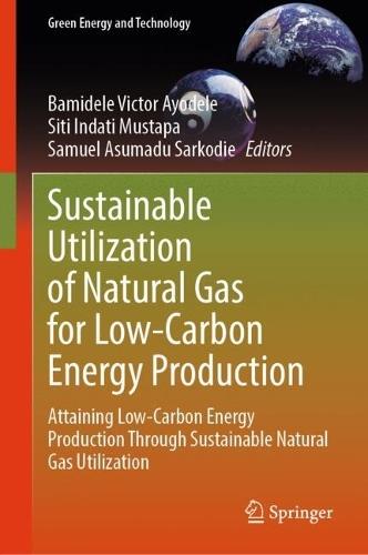 Sustainable Utilization of Natural Gas for Low-Carbon Energy Production: Attaining Low-Carbon Energy Production Through Sustainable Natural Gas Utilization  by Bamidele Victor Ayodele at Abbey's Bookshop, 
