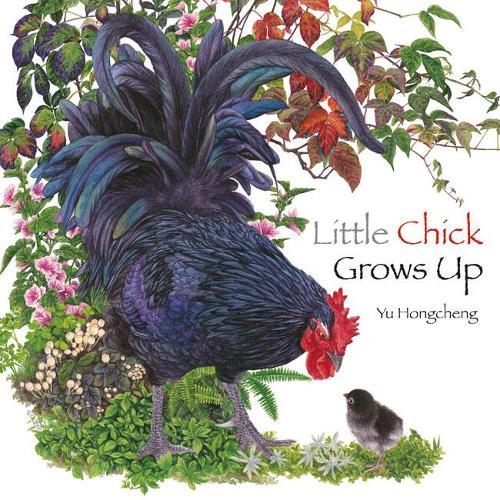 Little Chick Grows Up  by Y Hingcheng at Abbey's Bookshop, 