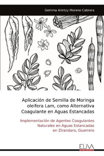 Landeskunde des Britischen Nordamerika