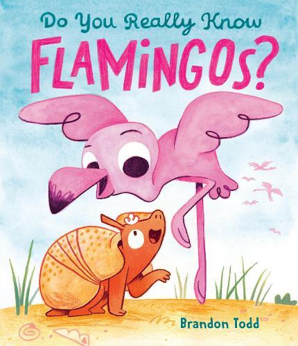 Do You Really Know Flamingos?  by Brandon Todd at Abbey's Bookshop, 