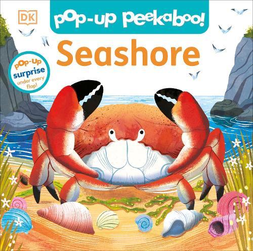 Pop-Up Peekaboo! Seashore  by DK at Abbey's Bookshop, 