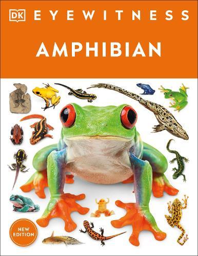 Eyewitness Amphibian  by DK at Abbey's Bookshop, 