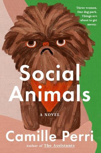 Social Animals  by Camille Perri at Abbey's Bookshop, 