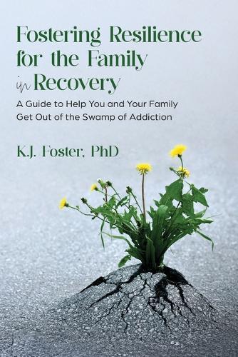 Fostering Resilience for the Family in Recovery  by K J Foster at Abbey's Bookshop, 