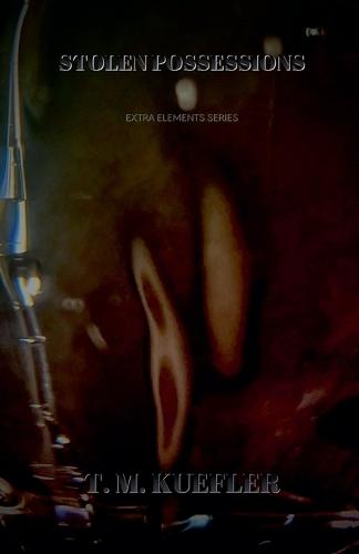 Stolen Possessions  by T M Kuefler at Abbey's Bookshop, 