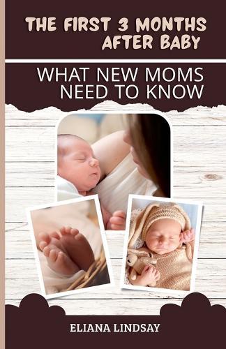 The First 3 Months After Baby: What New Moms Need to Know  by Eliana Lindsay at Abbey's Bookshop, 