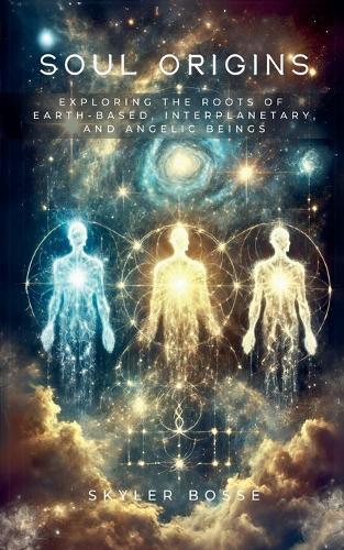 Soul Origins  by Skyler Bosse at Abbey's Bookshop, 