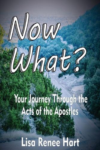 The New Testament: New Covenants, Book One