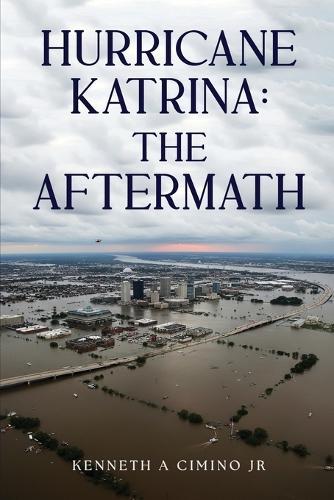 Natural Disasters, the Environment, and Technological Pathways to Sustainable Recovery