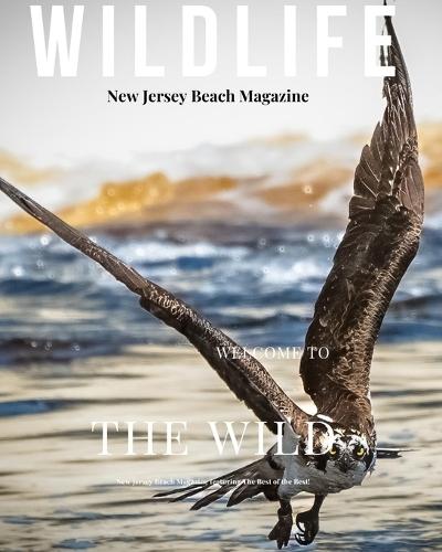 New Jersey Beach Magazine Wildlife 2024: New Jersey Wildlife  by Susan A Wagner at Abbey's Bookshop, 