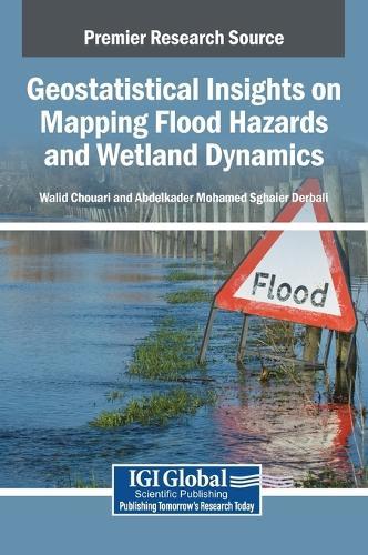 Geostatistical Insights on Mapping Flood Hazards and Wetland Dynamics  by Walid Chouari at Abbey's Bookshop, 