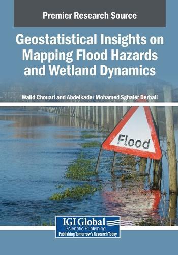 Geostatistical Insights on Mapping Flood Hazards and Wetland Dynamics  by Walid Chouari at Abbey's Bookshop, 