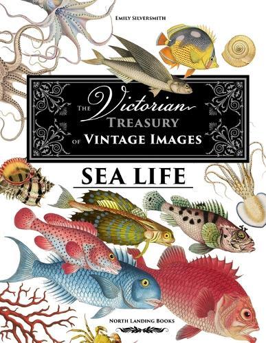 The Victorian Treasury of Vintage Images - Sea Life  by Emily Silversmith at Abbey's Bookshop, 