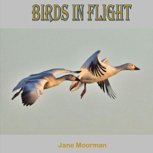 Birds in Flight  by Jane Moorman at Abbey's Bookshop, 