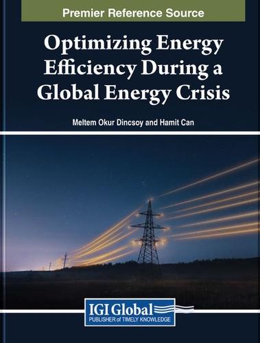 Optimizing Energy Efficiency During a Global Energy Crisis  by Meltem Okur Dinçsoy at Abbey's Bookshop, 