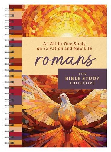 Romans: An All-In-One Study on Salvation and New Life  by Tracy M Sumner at Abbey's Bookshop, 