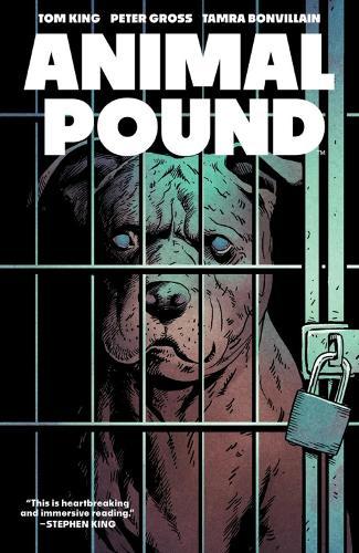Animal Pound  by Tom King at Abbey's Bookshop, 