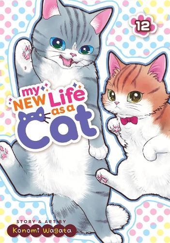 My New Life as a Cat Vol. 12  by Konomi Wagata at Abbey's Bookshop, 